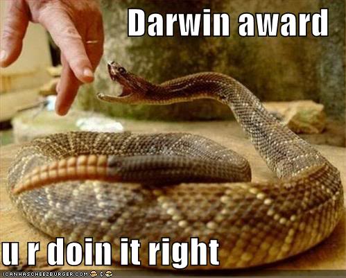 Name:  funny-pictures-darwin-award-snake.jpg
Views: 18
Size:  39.8 KB